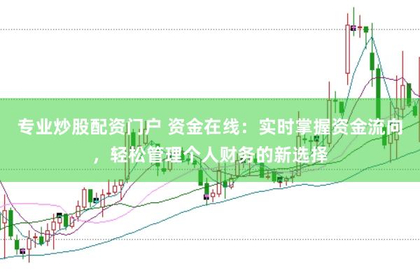专业炒股配资门户 资金在线：实时掌握资金流向，轻松管理个人财务的新选择