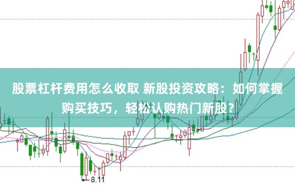 股票杠杆费用怎么收取 新股投资攻略：如何掌握购买技巧，轻松认购热门新股？