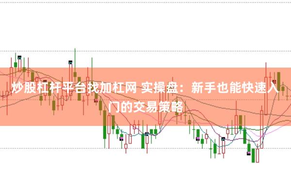 炒股杠杆平台找加杠网 实操盘：新手也能快速入门的交易策略