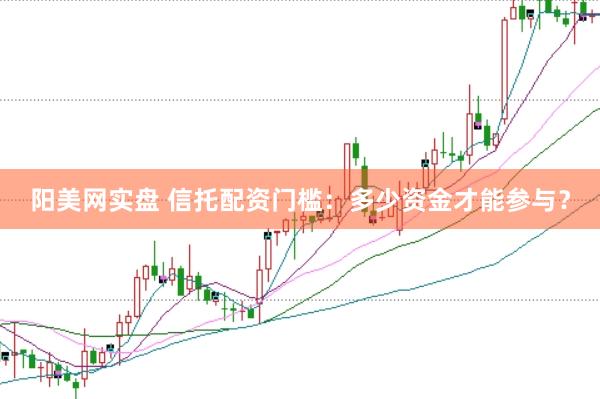阳美网实盘 信托配资门槛：多少资金才能参与？