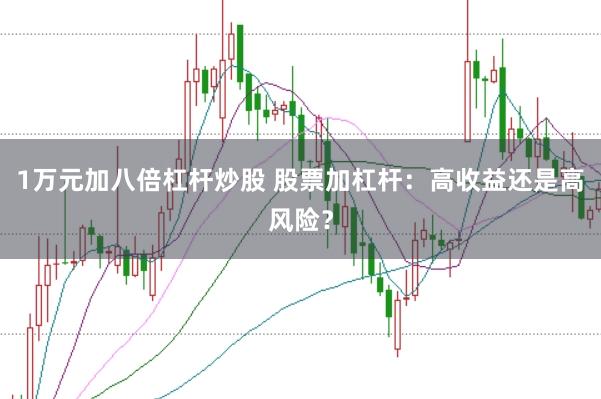 1万元加八倍杠杆炒股 股票加杠杆：高收益还是高风险？
