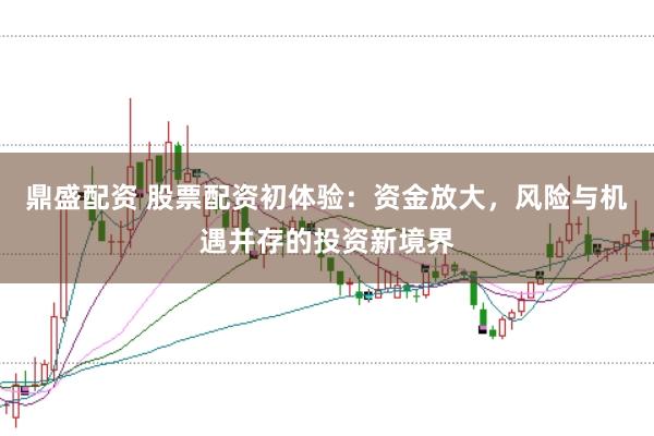 鼎盛配资 股票配资初体验：资金放大，风险与机遇并存的投资新境界