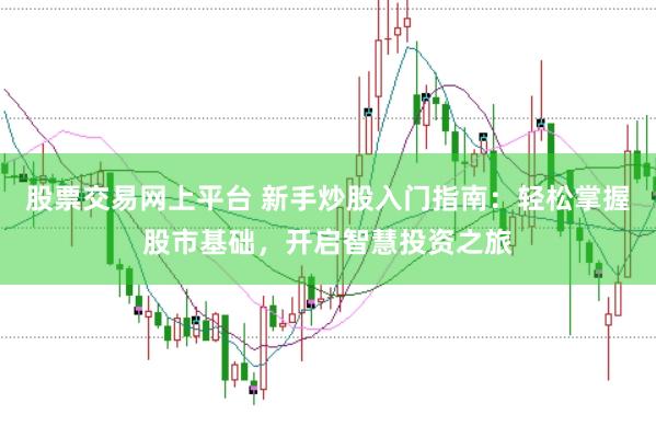 股票交易网上平台 新手炒股入门指南:轻松掌握股市基础,开启智慧投资之旅