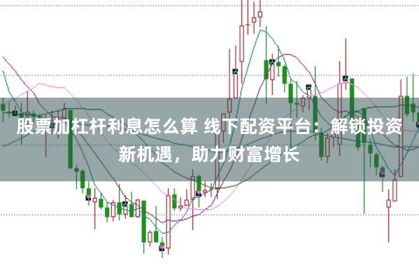 股票加杠杆利息怎么算 线下配资平台：解锁投资新机遇，助力财富增长